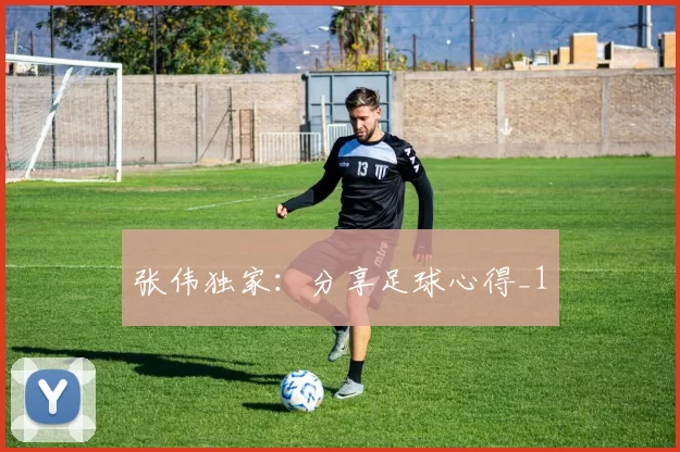 张伟独家：分享足球心得_1