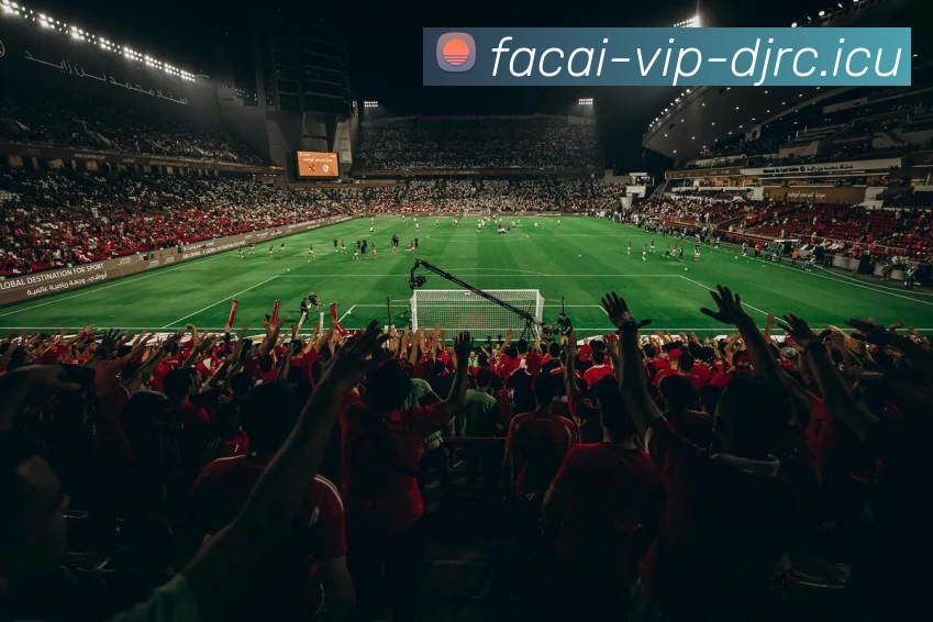 乐鱼体育注册平台生态图